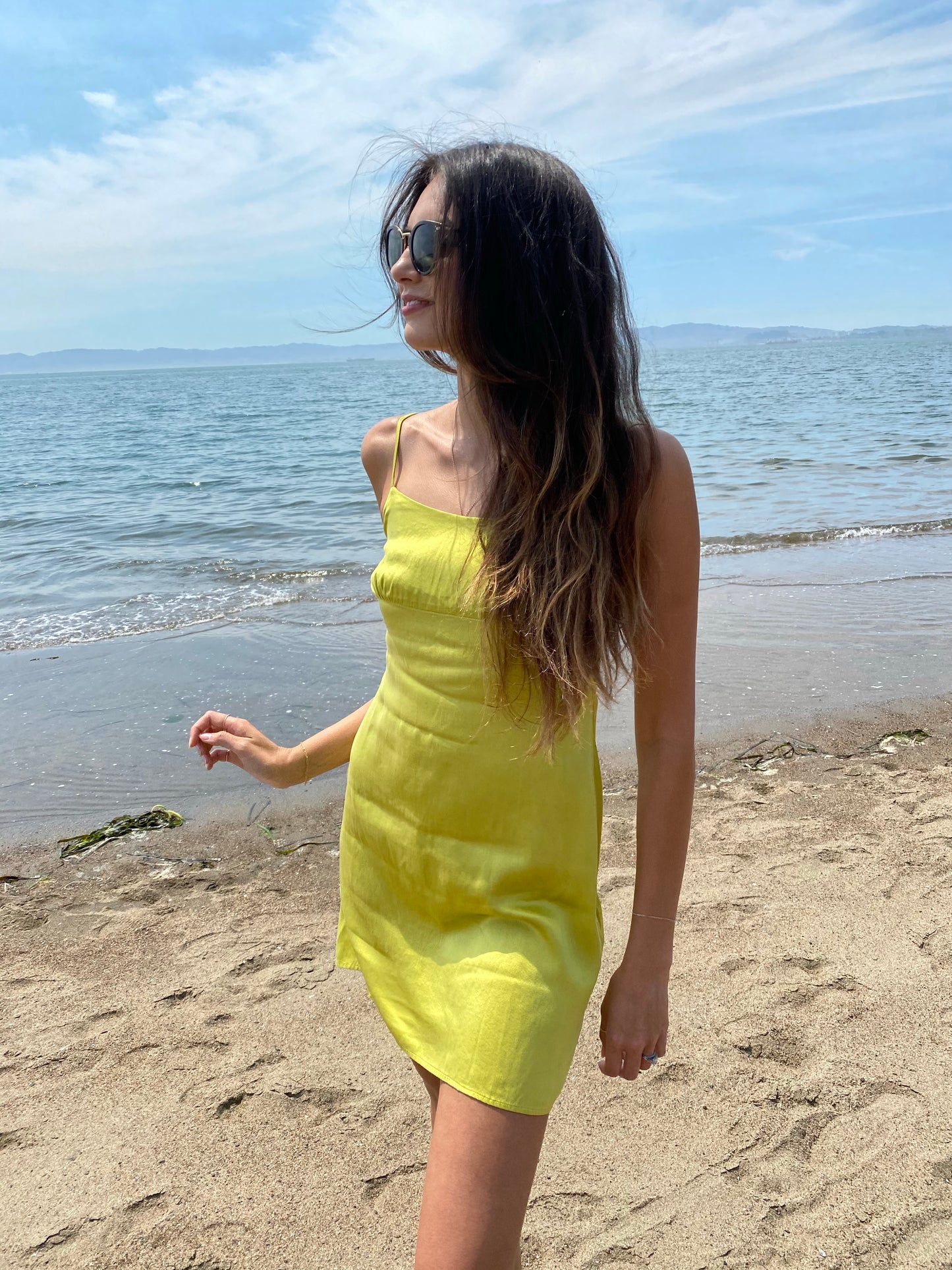 Alameda Silk Dress