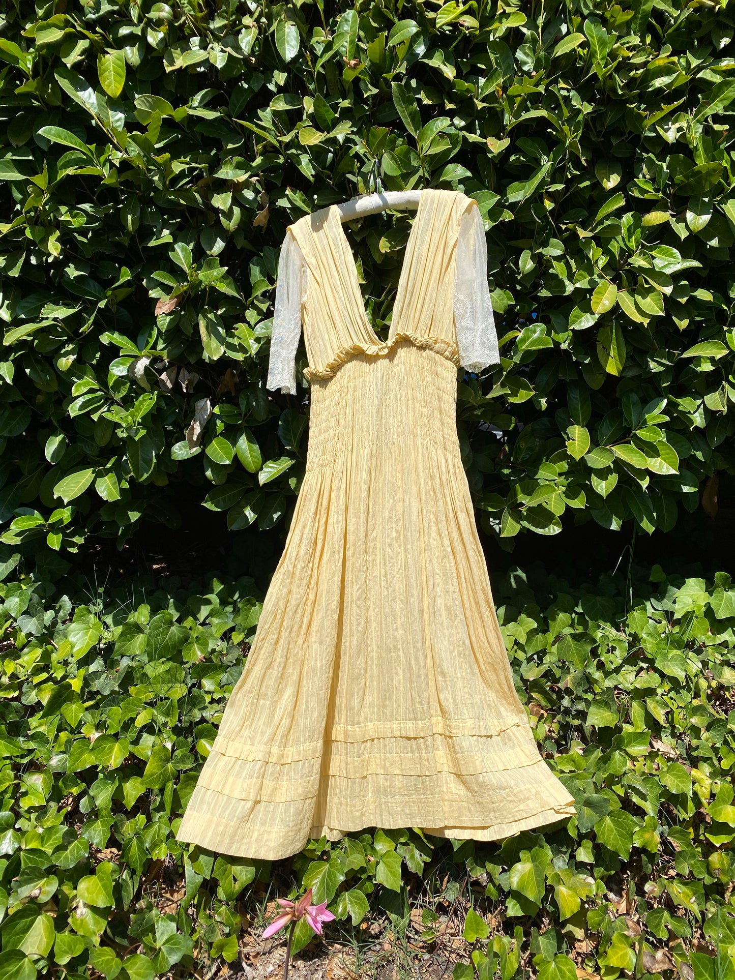 Victorian Yellow Cotton Dress