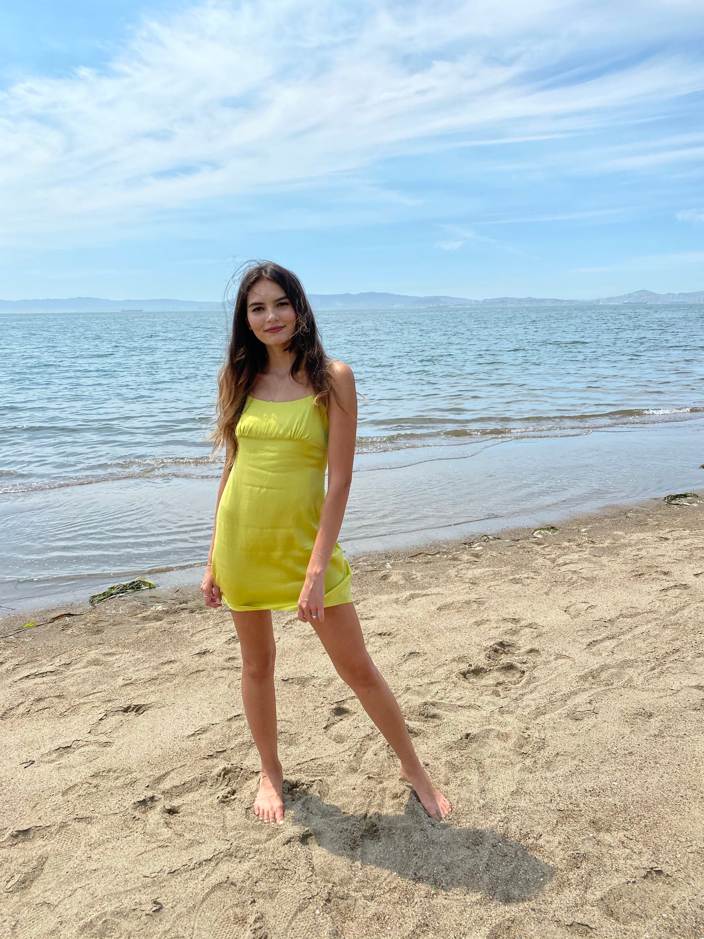 Alameda Silk Dress