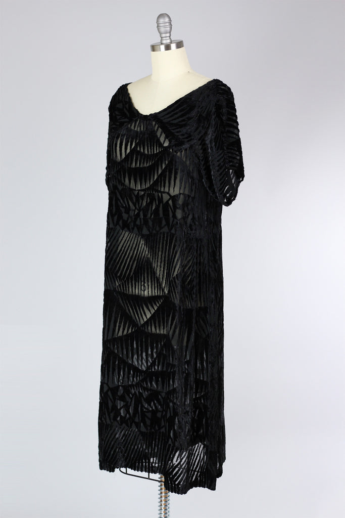 Rare 1920s Devoré Silk Velvet Dress