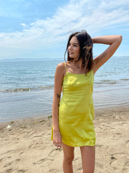 Alameda Silk Dress